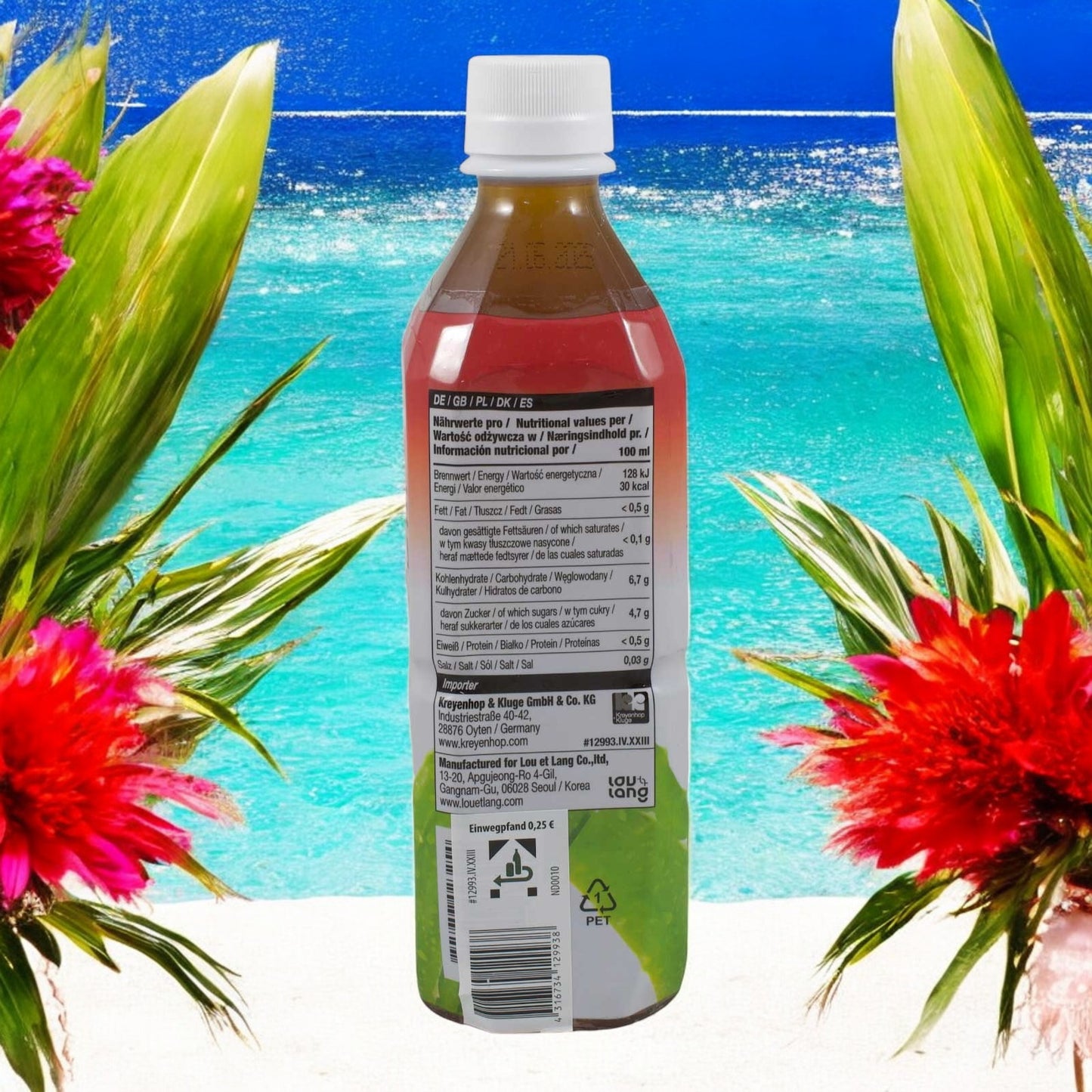 allgroo Aloe Vera Getränk zzgl. 25cent Pfand, EINWEG, mit schwarzem Tee & Himbeere 500ml