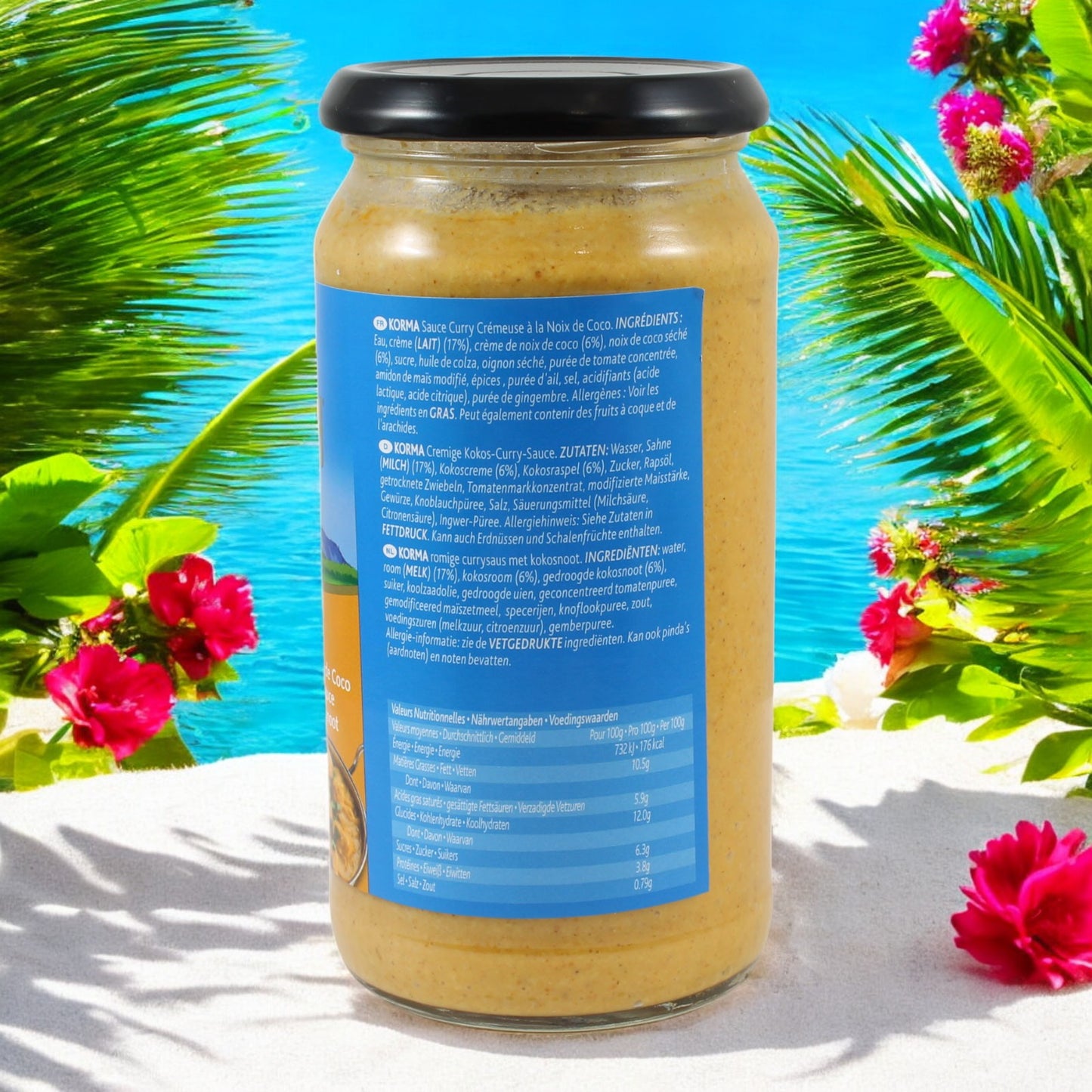 Rajah Korma Kokosnuss Currysauce 500g