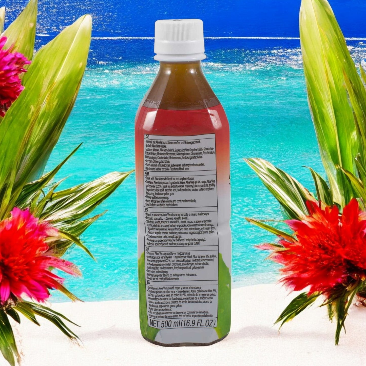 allgroo Aloe Vera Getränk zzgl. 25cent Pfand, EINWEG, mit schwarzem Tee & Himbeere 500ml